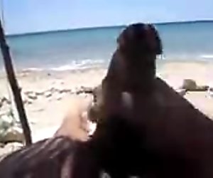 Uomini turchi da tacchino nudo spiaggia